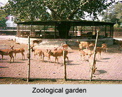  Kolkata Zoo
