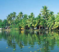 Kottayam
