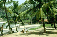 Kovalam Beach