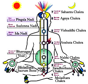 Kundalini Nadis
