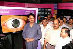 Light And Sight Gallery