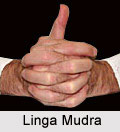 Linga Mudra