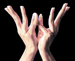 Lotus Mudra