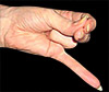 Mahasirs Mudra