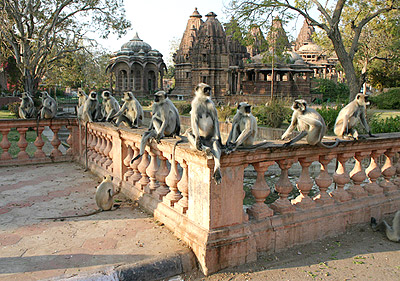 Places of Interest Around Jodhpur, Rajasthan