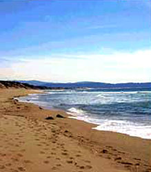 Leisure Tourism in Tamil Nadu