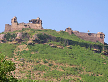 massive Fort