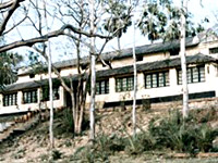 Maharaja Lakshmishwar Singh Museum ,  Darbhanga