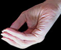 Mukula Mudra