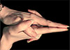 Uttarabodhi Mudra