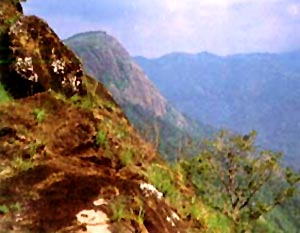 Nadukani in Kottayam, South India