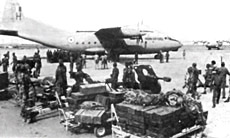 Operation Cactus