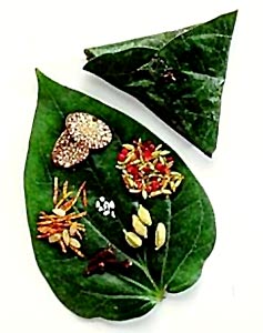 Chewing pan supari 