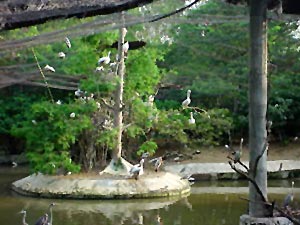 Point Calimere Wildlife Sanctuary in Tamil Nadu