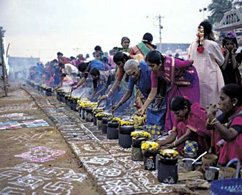 Pongal Festival