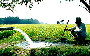 Tropical and sub-tropical desert climate