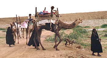 Rabari  tribe of Kutch
