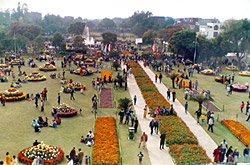 Chandigarh rose Festival