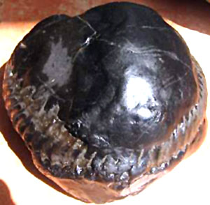 Lakshmi-narayana Salagrama, Holy Place Of Pilgrimage
