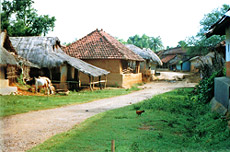  Santhal village