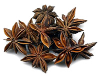 Star Anise Fruit