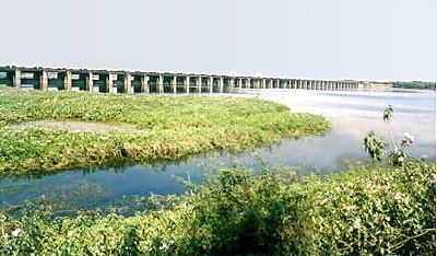 Tapti River Basin