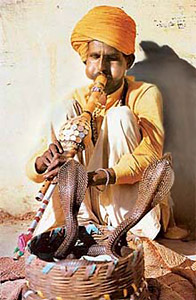 Madari, Tribe Of Snake-Charmers