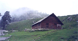 Trikund